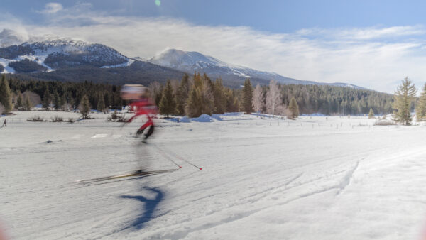 Ski de fond