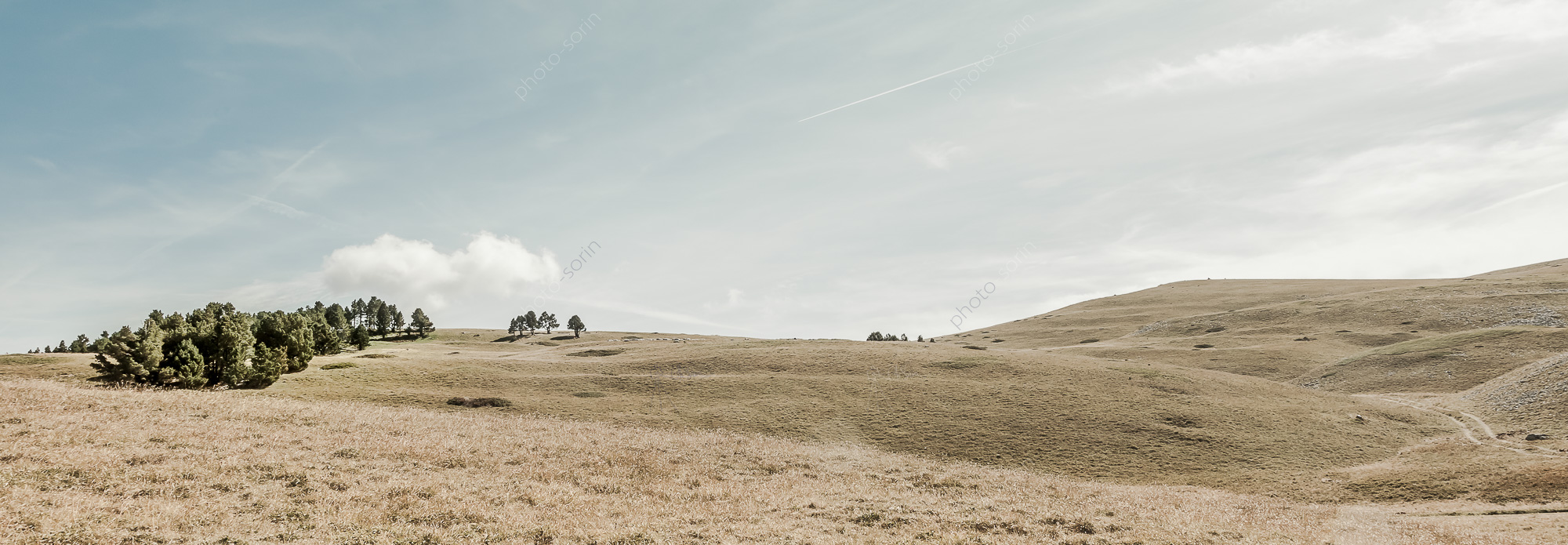 les Hauts plateaux