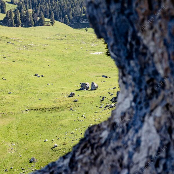 Prairie du col de l'Alpette