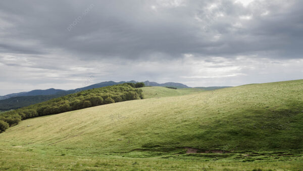 Forêt et pâturage d’Ambel,