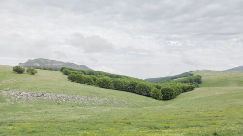 Vercors Drômois