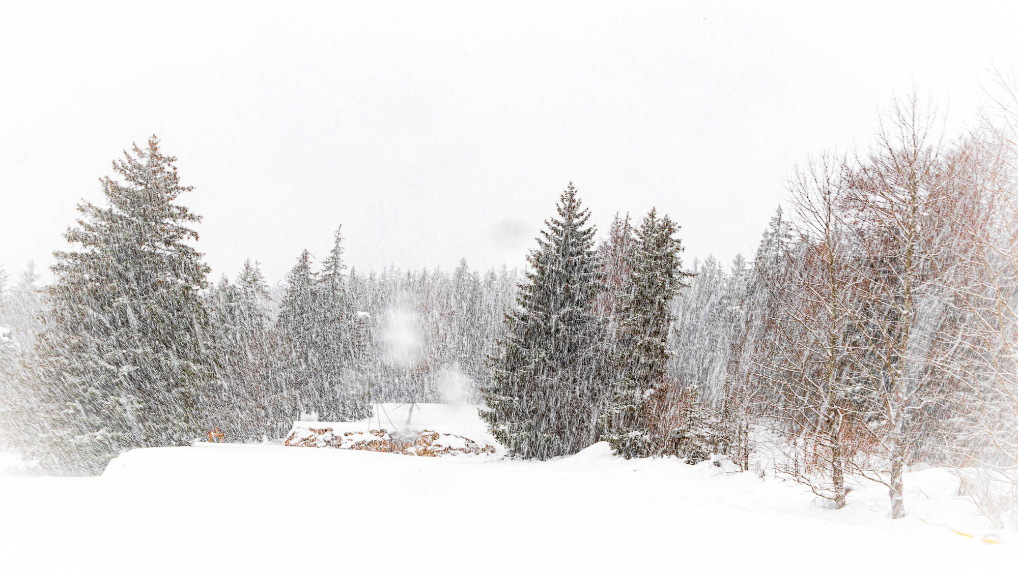 Tempête sur les pistes