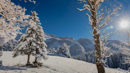 Vercors 4 Montagnes