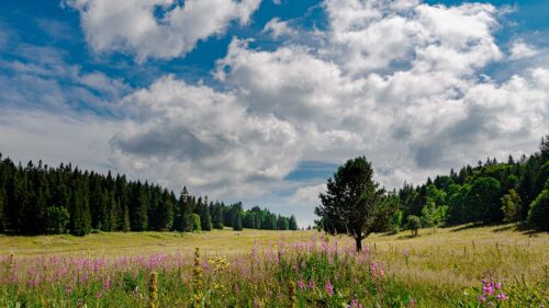 Vercors 4 Montagnes