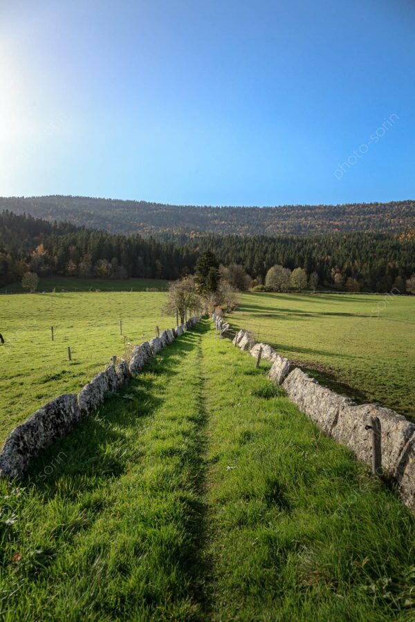 Chemin lauzé