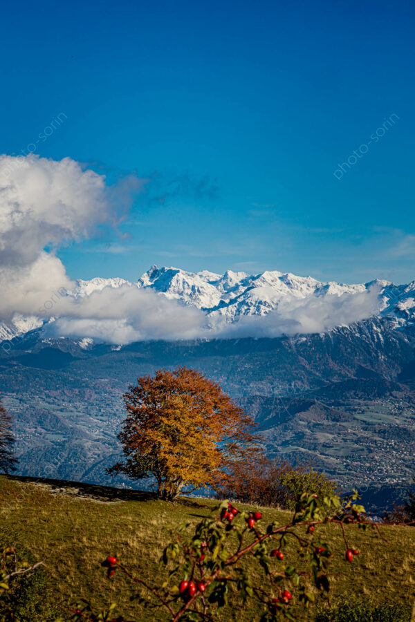 Belledonne